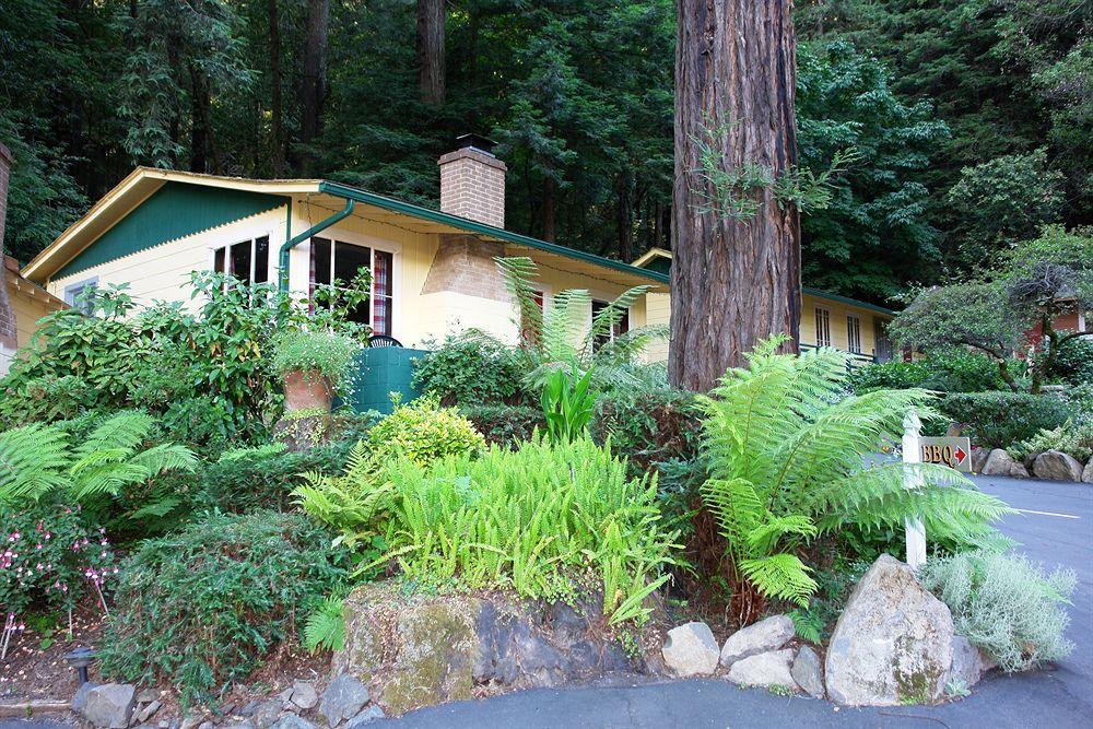 Fern Grove Cottages Guerneville Esterno foto