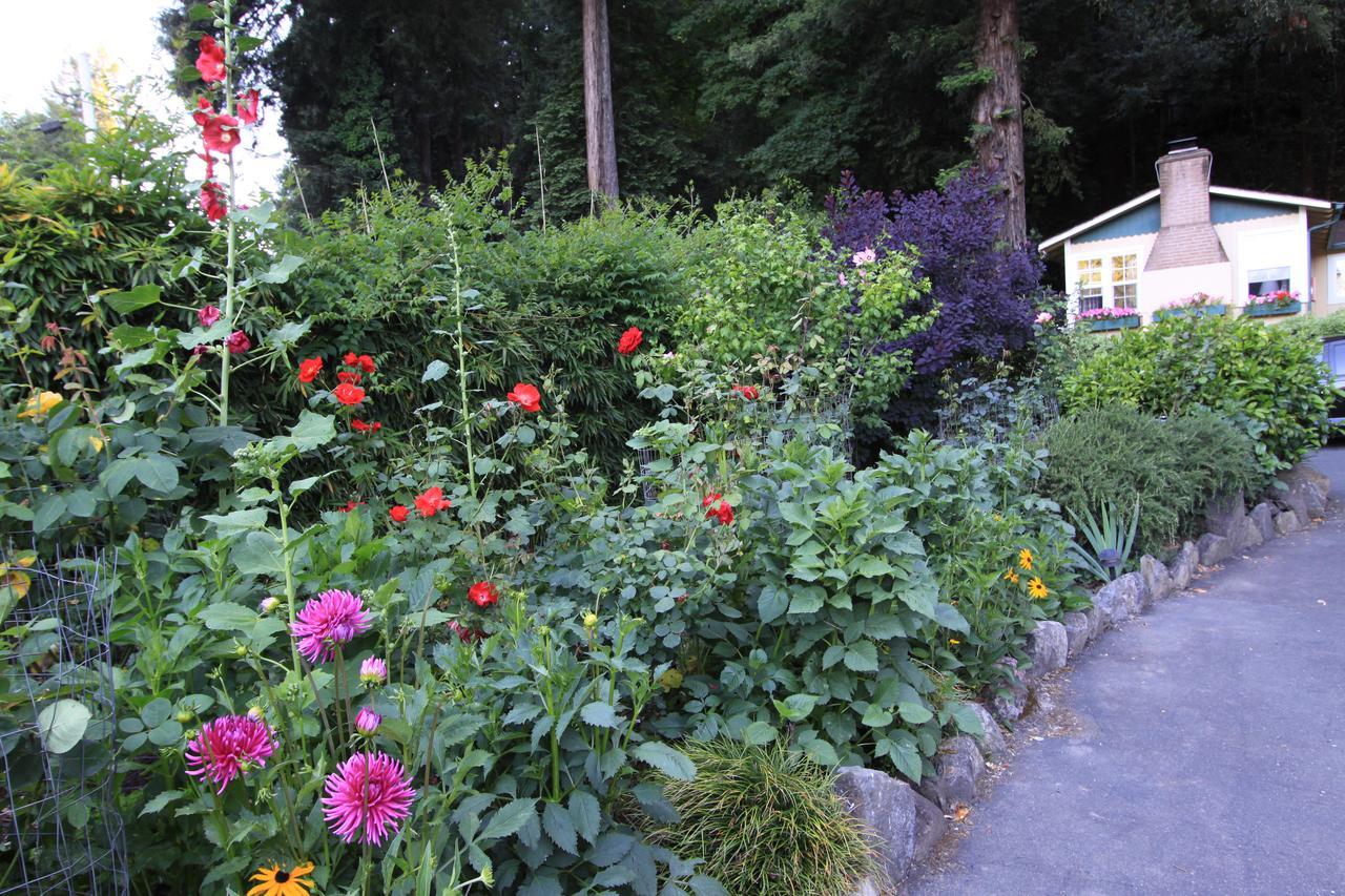 Fern Grove Cottages Guerneville Esterno foto