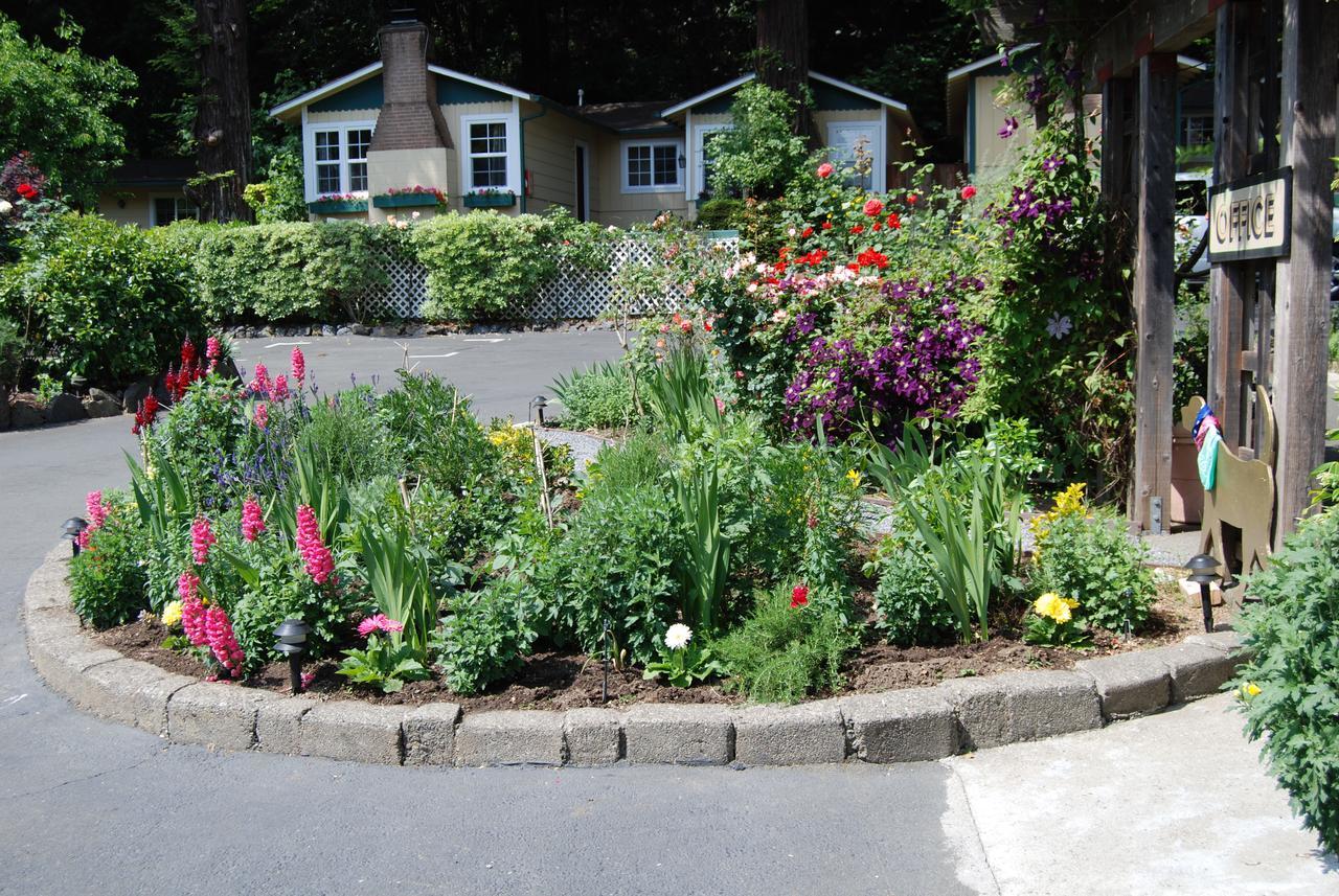 Fern Grove Cottages Guerneville Esterno foto