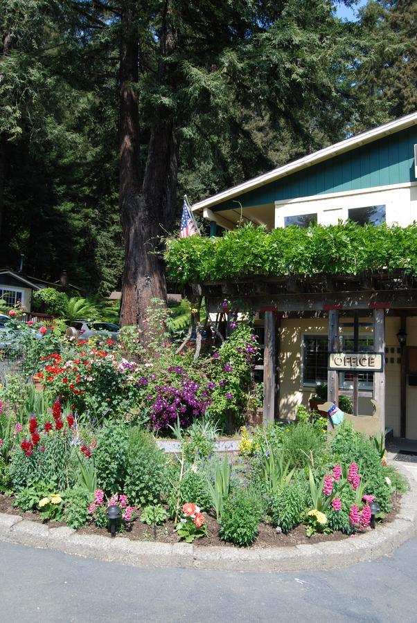 Fern Grove Cottages Guerneville Esterno foto
