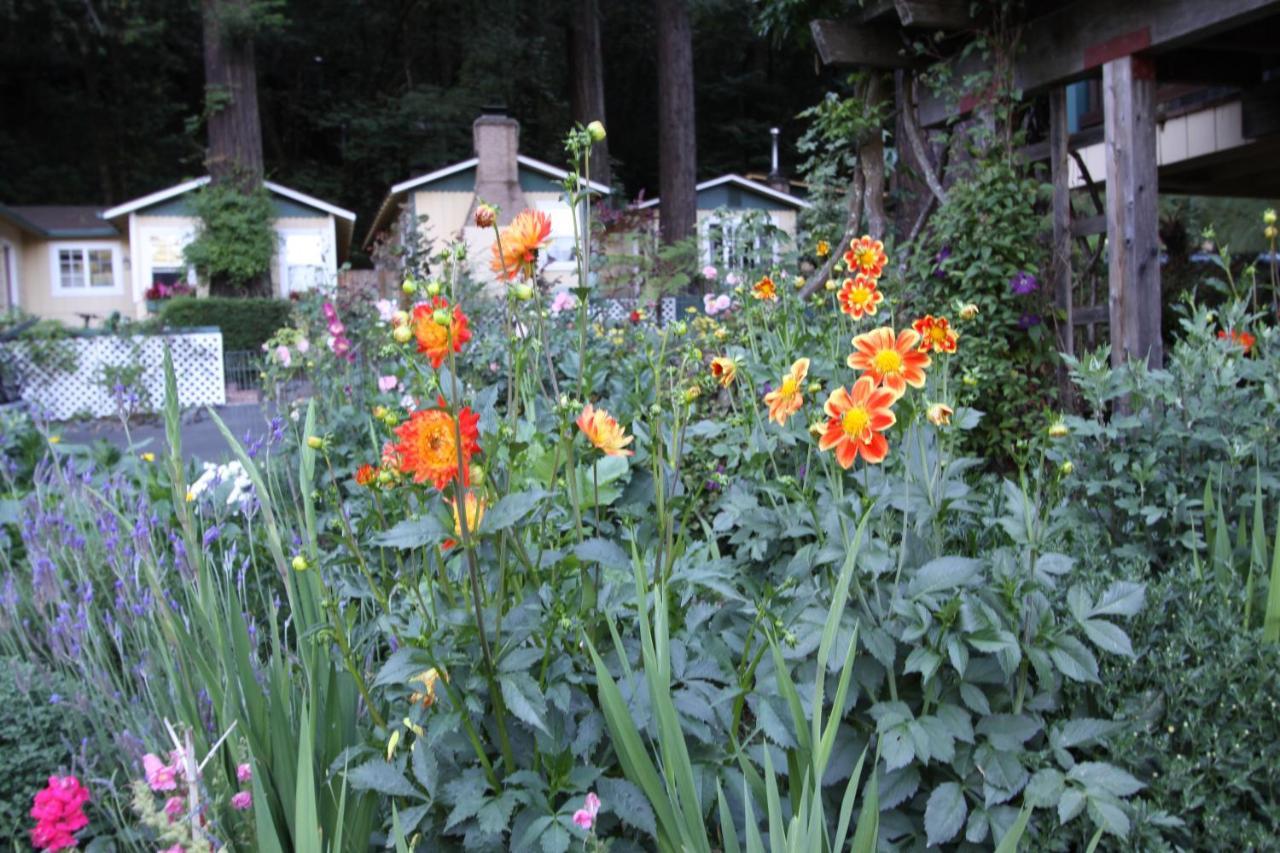 Fern Grove Cottages Guerneville Esterno foto